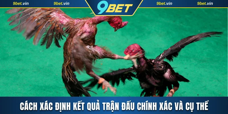 Cách xác định kết quả trận đấu chính xác và cụ thể