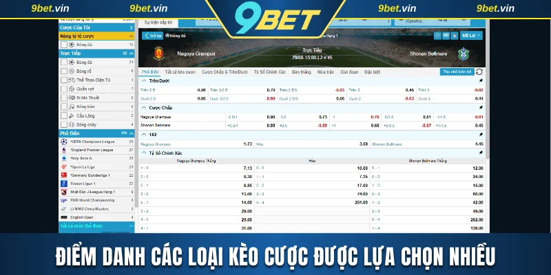 Điểm danh các loại kèo cược được lựa chọn nhiều