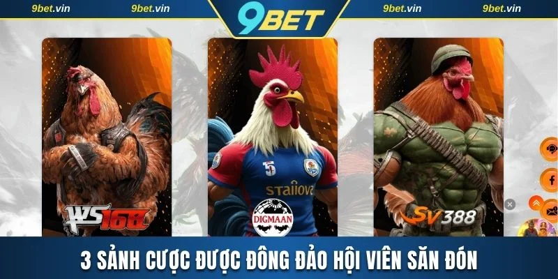 Khám phá 3 sảnh cược được đông đảo hội viên săn đón