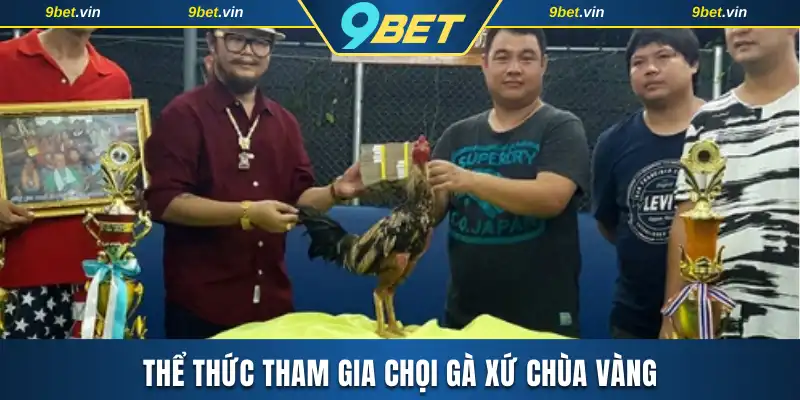 Thể thức tham gia chọi gà xứ chùa Vàng